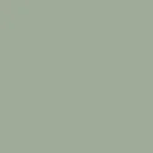 Verde quarzo lacquered finish swatch, rectangular shape, muted cool-toned green with gray undertones, smooth reflective surface.